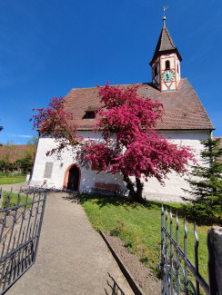 Kirche St. Johannes Hirschneuses 